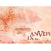 IX Foro ANVEPI
