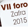 VII Foro Anvepi