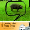 X Encuentro sobre el porcino ibérico